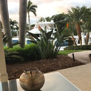 Meet your Posher, Margo